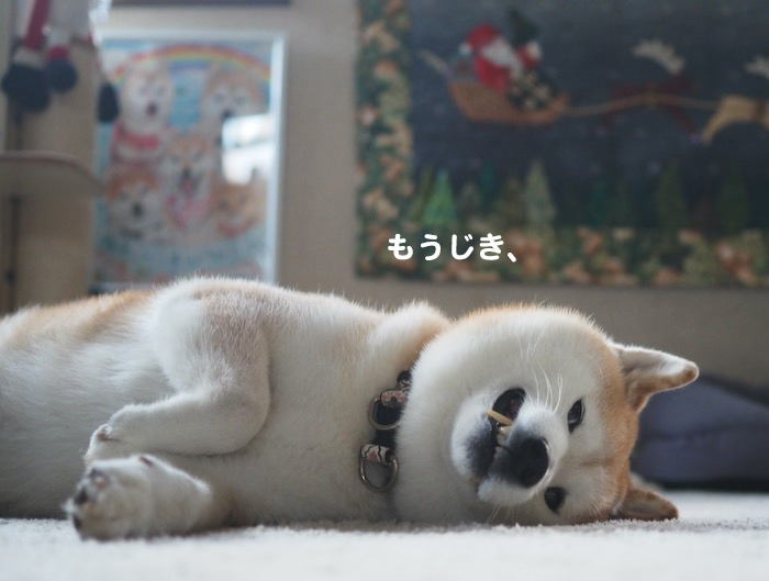 9日ブログ３