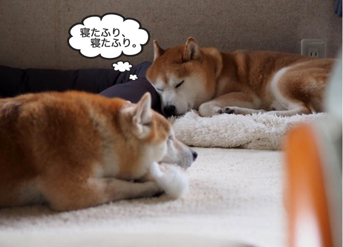 12日ブログ１０