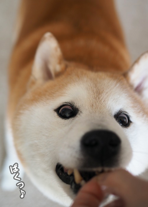 14日夕ブログ６