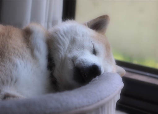 29日ブログ9.jpg