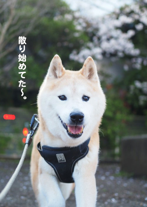 3日ブログ３