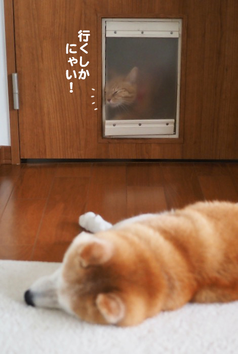 24日夕ブログ５