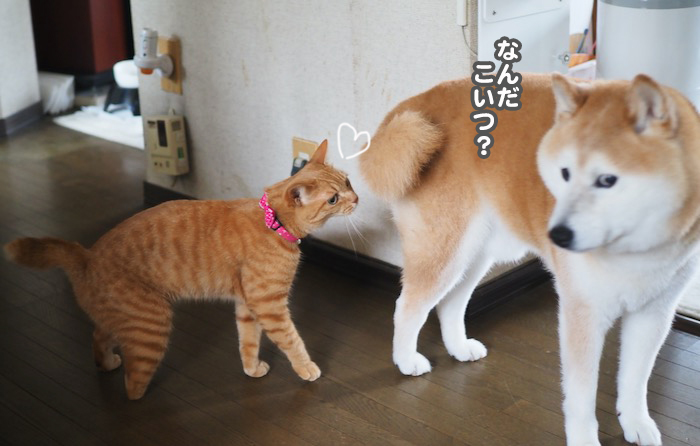 30日夕ブログ６
