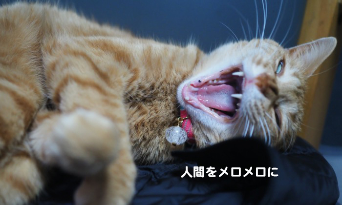 21日ブログ３