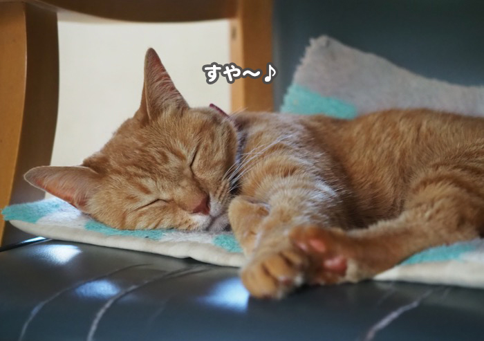 3日ブログ４