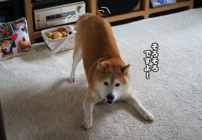 21日夕ブログ５