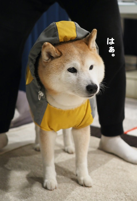 29日ブログ3