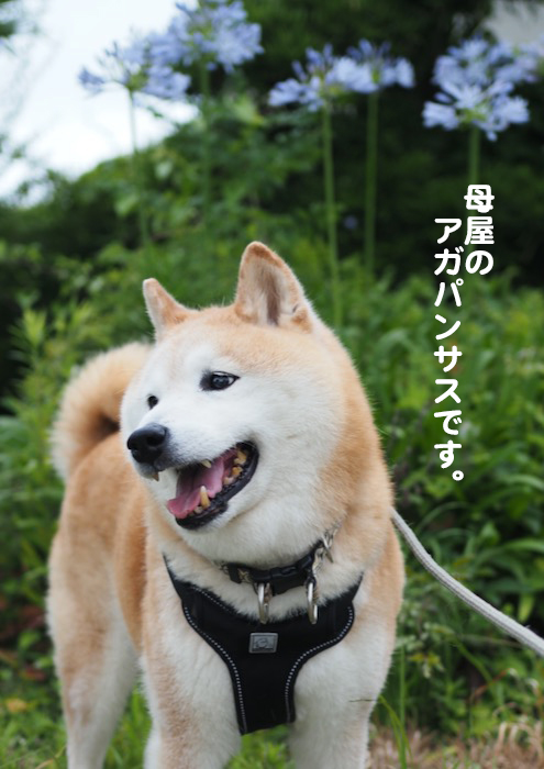 25日午前ブログ２