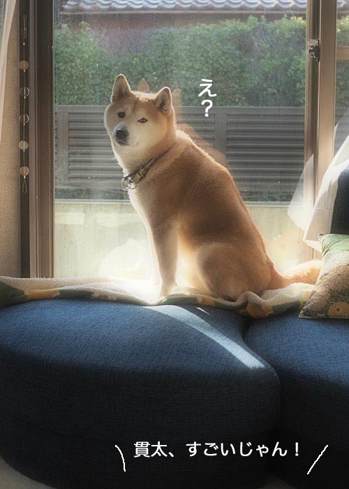 15日夜ブログ４