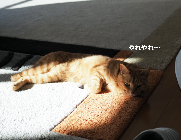 15日ブログ１