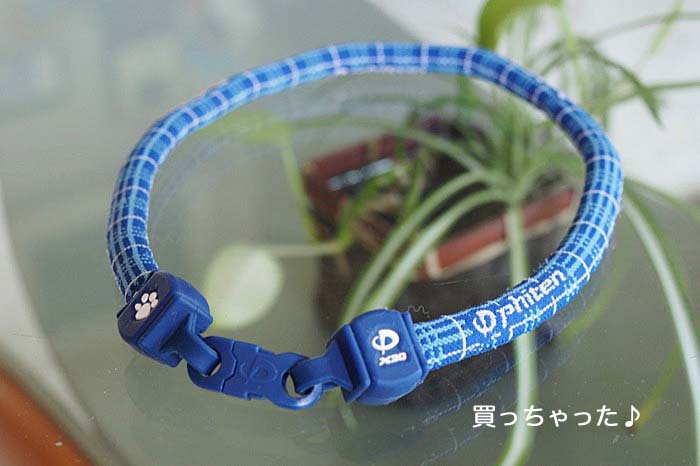 4日ブログ9