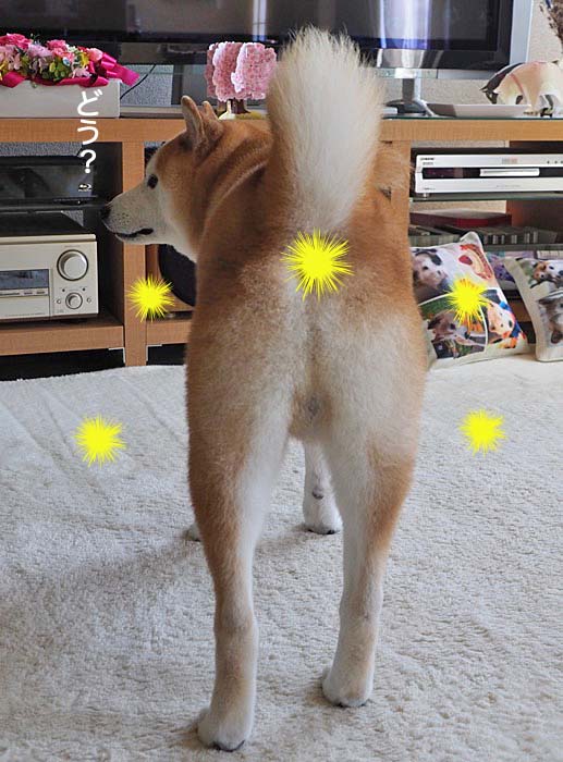 11日夜ブログ３