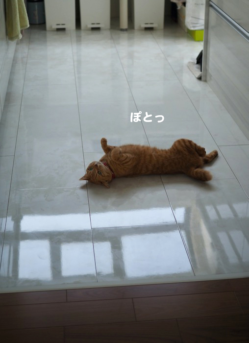 16日夕ブログ４