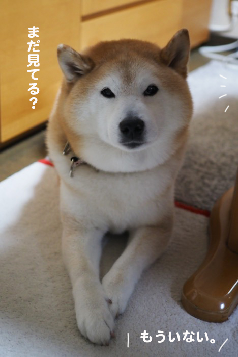 3日ブログ６