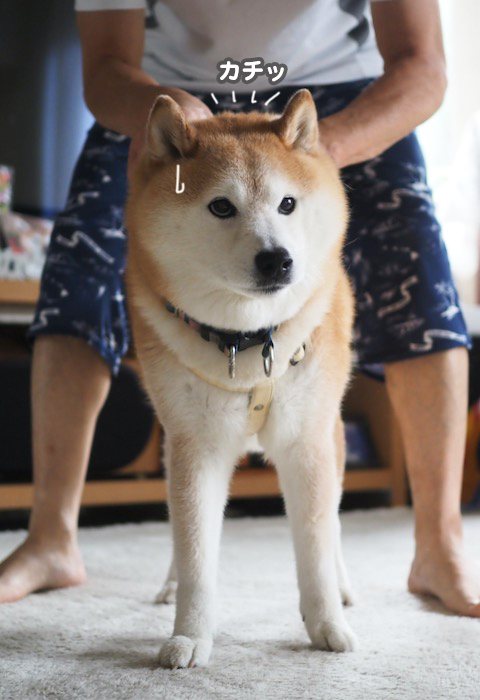 20日夕ブログ５