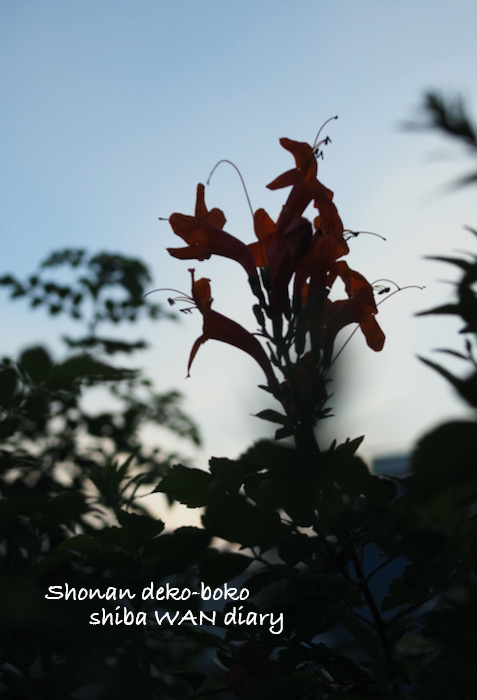 8日夕ブログ１