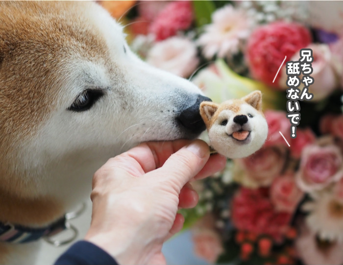 1日夕ブログ８