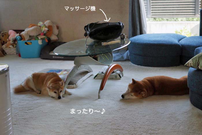 29日ブログ２