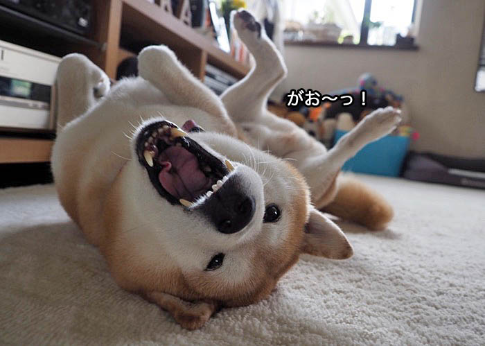 25日ブログ７