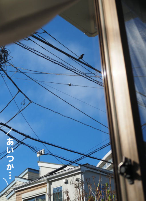 4日夕用４