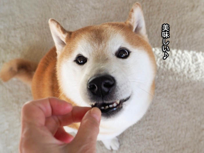 18日ブログ６