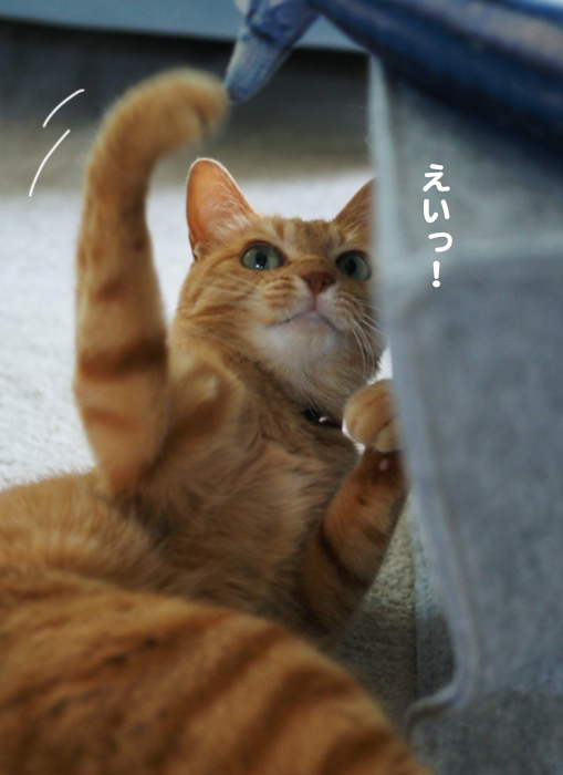 17日夕ブログ６