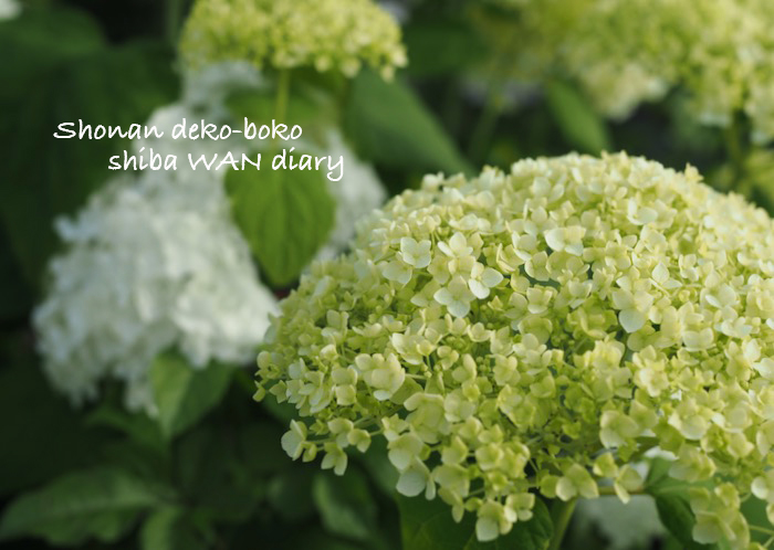 1日朝ブログ１