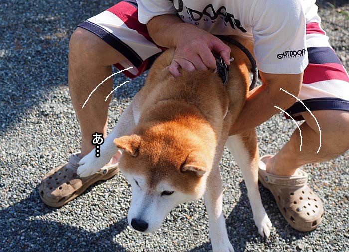 13日ブログ７