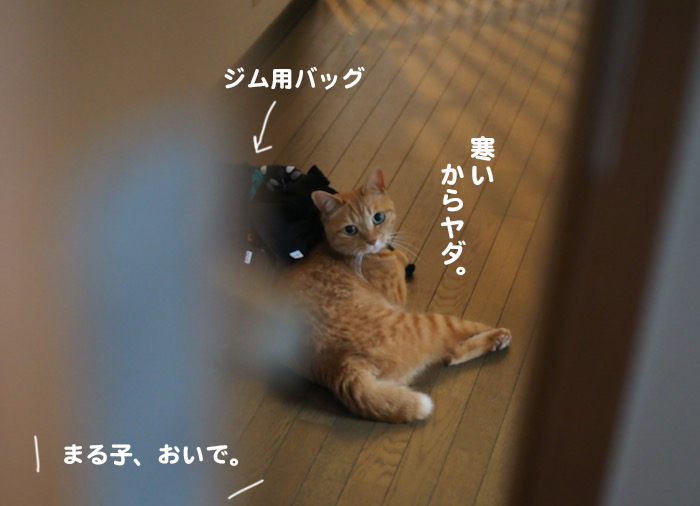24日夕ブログ１０