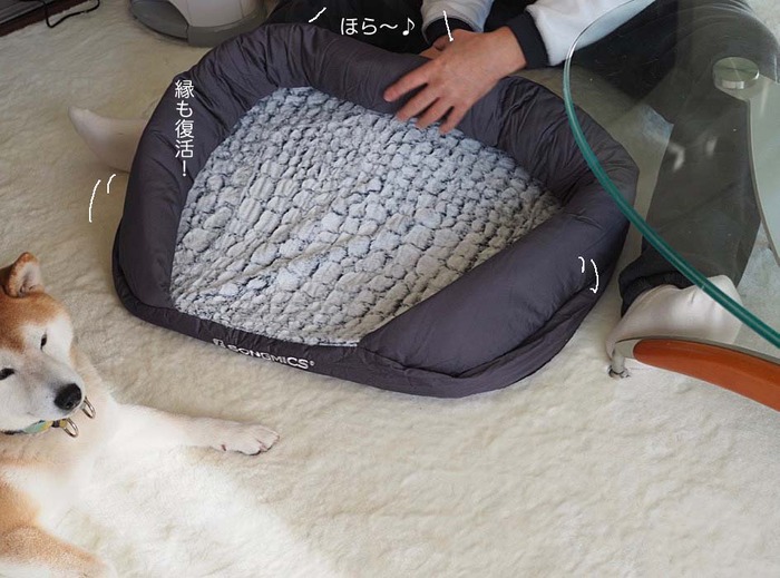 2日ブログ１０