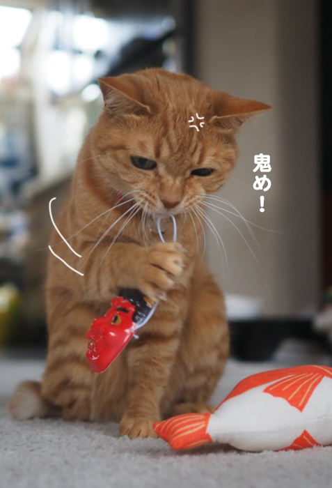 3日夕ブログ７