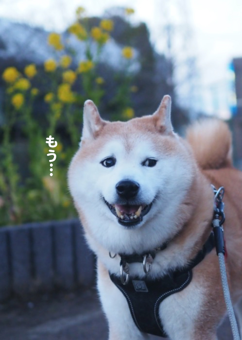26日ブログ６