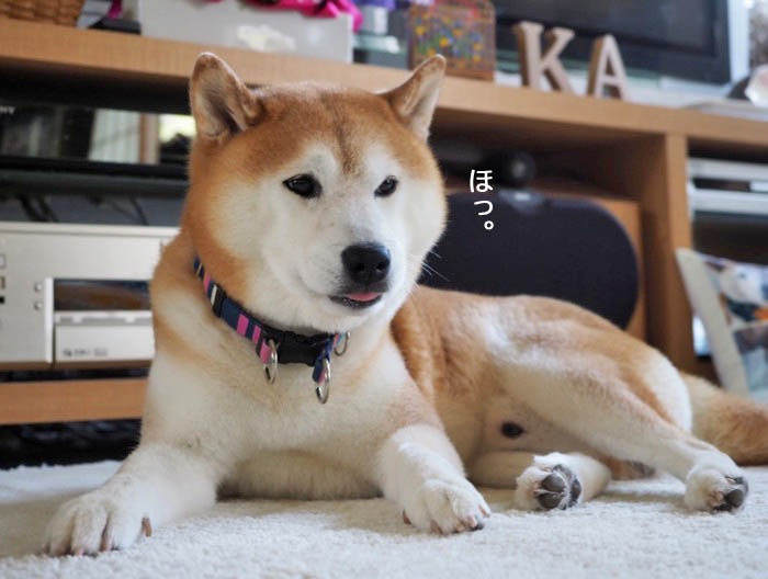 7日ブログ３