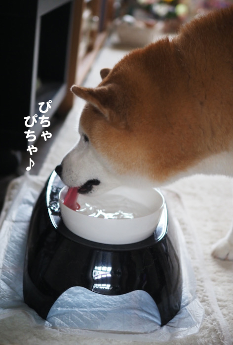 18日ブログ２