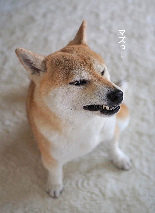14日ブログ6