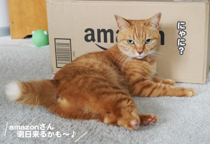 26日夕ブログ２