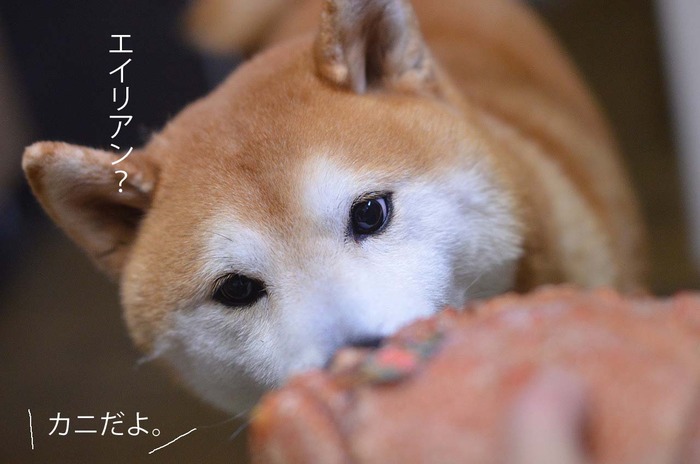 25日ブログ3