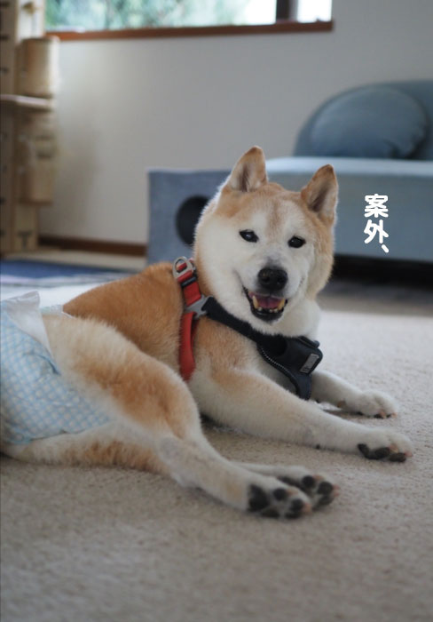 1日夕ブログ2