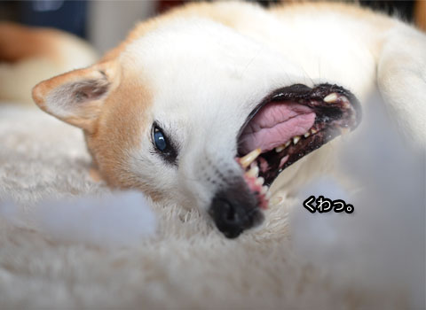 28日ブログ9.jpg