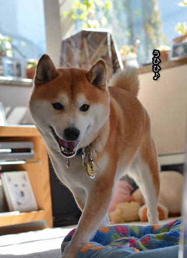 23日ブログ9.jpg