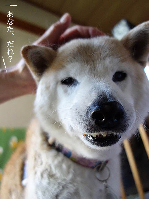 4日ブログ６