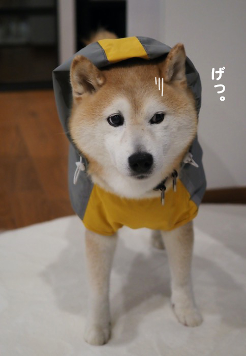 30日夕ブログ２