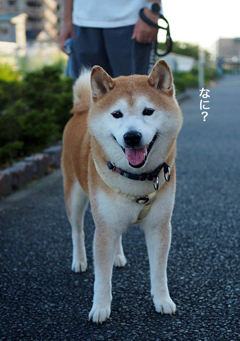 27日ブログ６