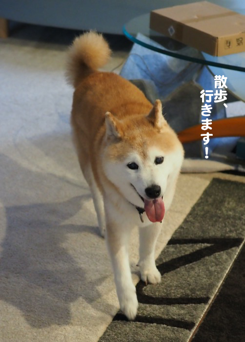24日ブログ２