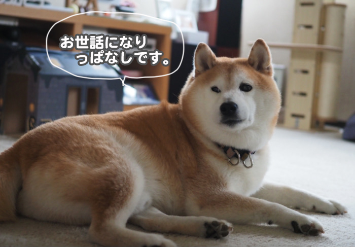 18日夕ブログ８