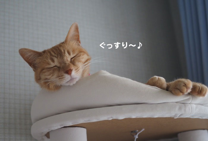 8日夕ブログ４