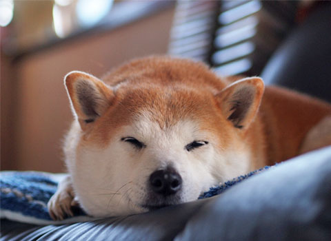 27日ブログ7.jpg