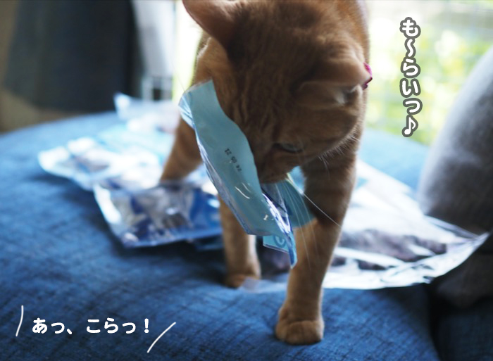 27日夕ブログ14