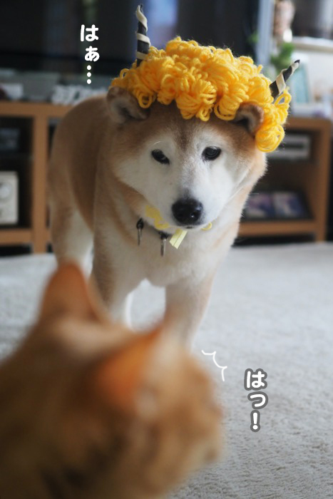 3日ブログ２
