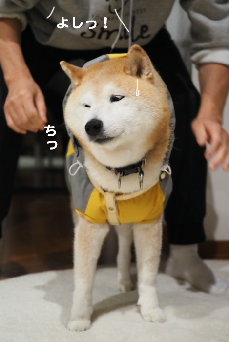 15日夕ブログ４